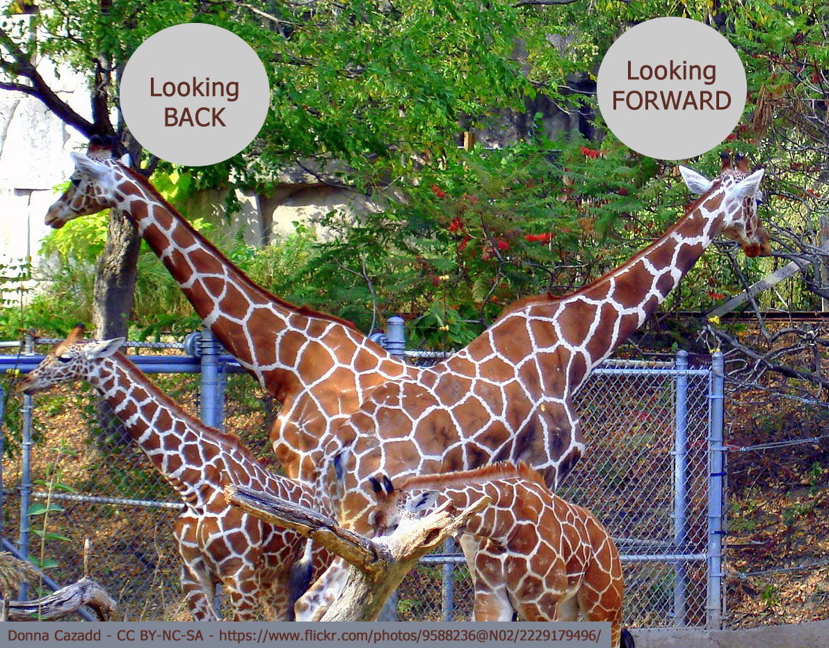 Final reflective activity