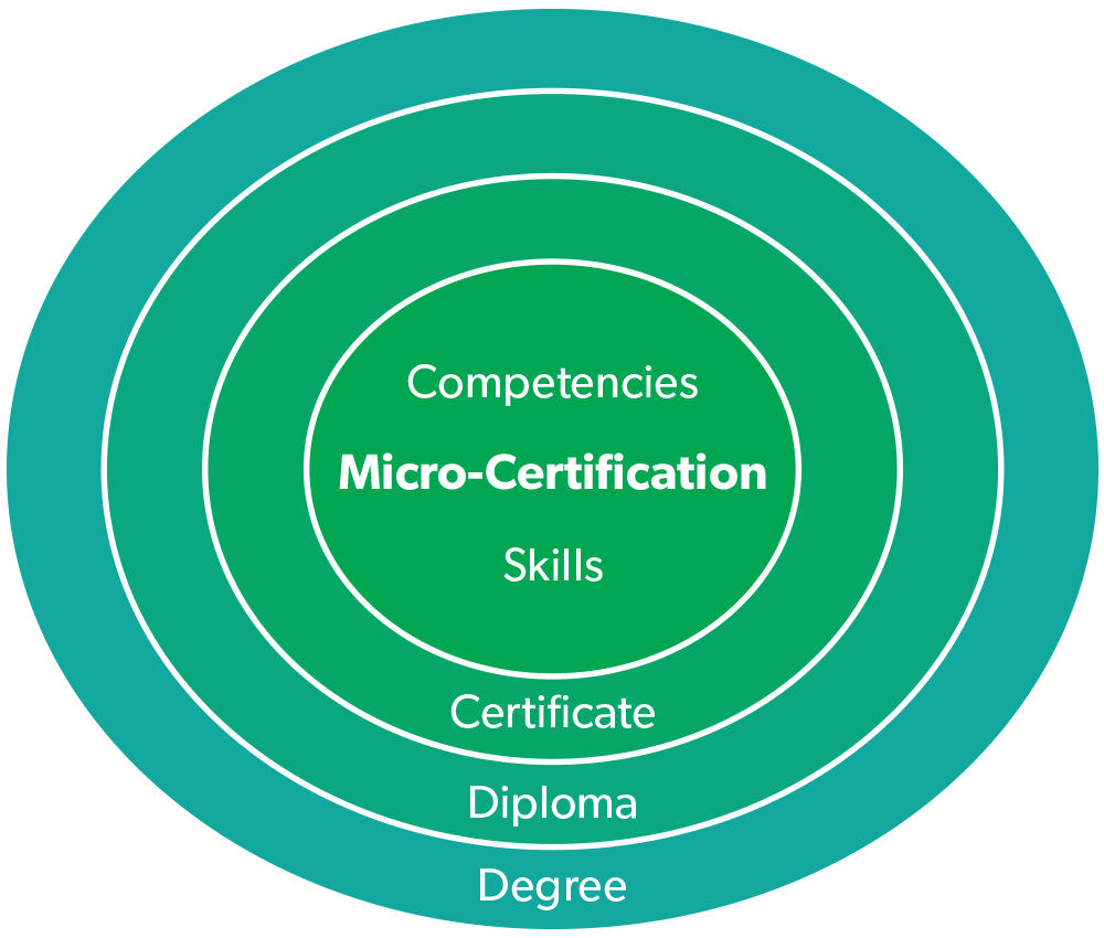 micro certification fit